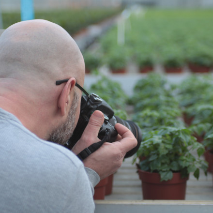 Bunnik Plants 35959
