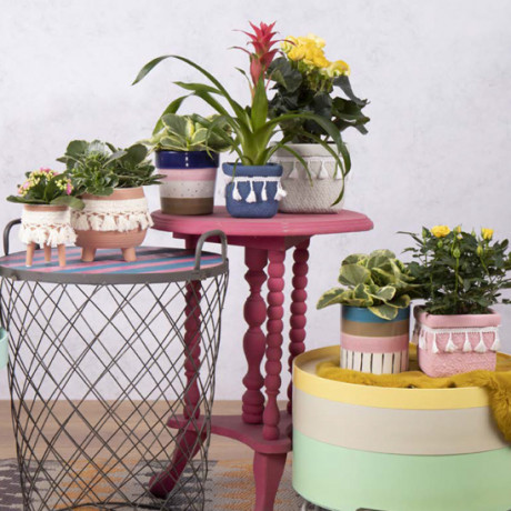 Bunnik Plants Trends 4 75533