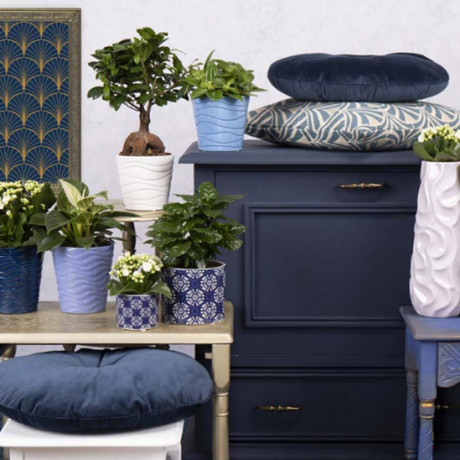 Bunnik Plants Trends 1 75533